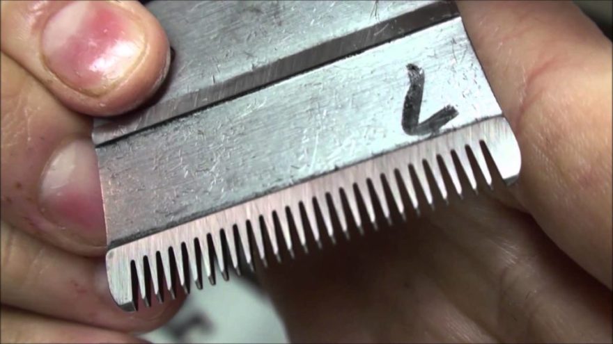 how to clean hair clipper blades