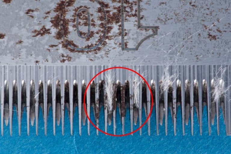 How To Prevent Clipper Blades From Rusting TrimBeast